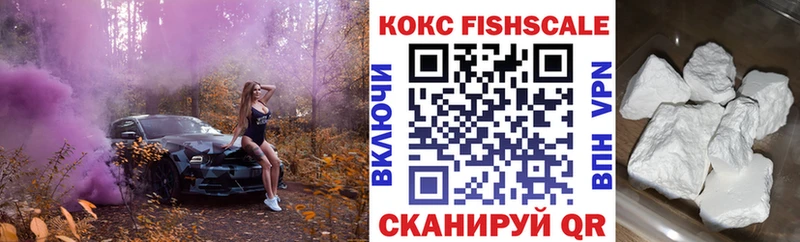 Cocaine FishScale  Купить где  Касли 