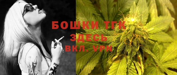ECSTASY Заводоуковск
